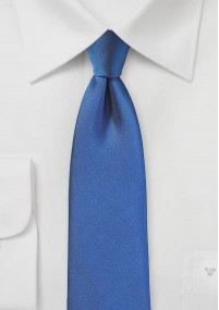 Cravatta blu minimalista