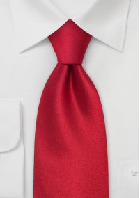 Cravatta rossa lucida